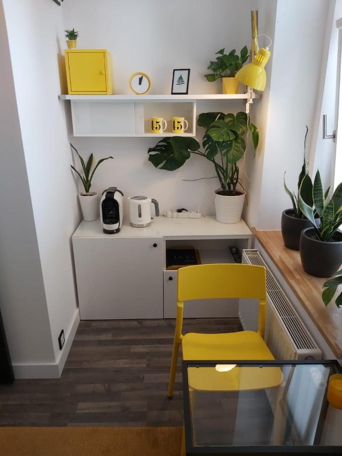 Apartament Na Wyspie Opole Exterior foto